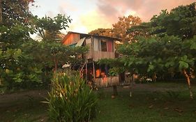 Miguel Surf Camp